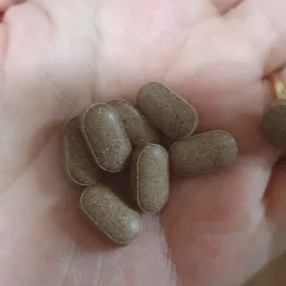 슬림플래닛 녹차카테킨 500mg 애프터밀 — 5점을 준 리뷰어가 2021년 9월 올린 사용 사진