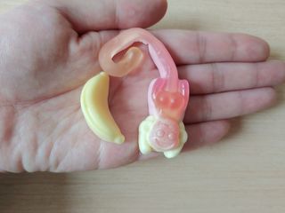램프의엘프님이 올린 리뷰 사진 3