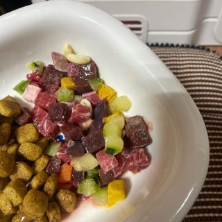 씽크라이크펫 큐브생식 1kg — 4.5점을 준 리뷰어가 2022년 11월 올린 사용 사진