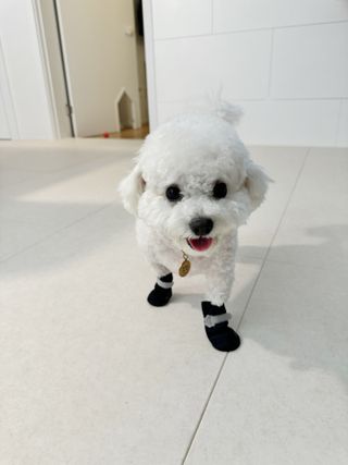 Florence님이 올린 리뷰 사진 1