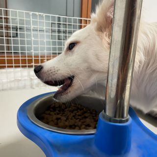 은영님이 올린 리뷰 사진 3
