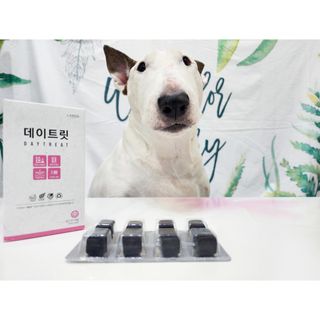 콩콩님이 올린 리뷰 사진 1