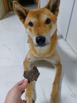 루비님이 올린 리뷰 사진 2
