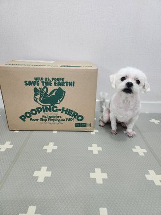 뽀야님이 올린 리뷰 사진 1