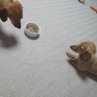 승희님이 올린 리뷰 사진 4
