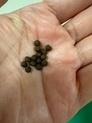 엘라맘님이 올린 리뷰 사진 3