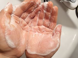 텃새님이 올린 리뷰 사진 3