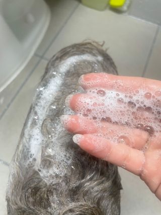 영이님이 올린 리뷰 사진 4