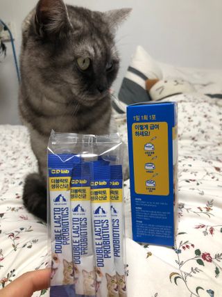 씨디랩 구강에서 장까지 한 번에 관리하는 더블락토 강아지 고양이 유산균 — 4.5점을 준 리뷰어가 2021년 6월 올린 사용 사진