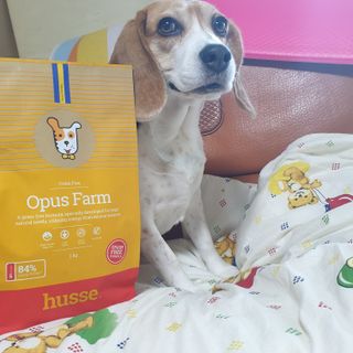 beaglelove님이 올린 리뷰 사진 1