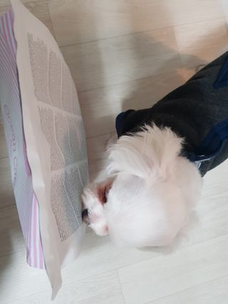 빛날Hwan님이 올린 리뷰 사진 1