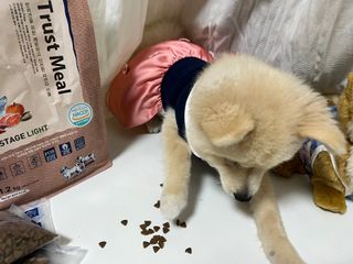 LeeMin님이 올린 리뷰 사진 3