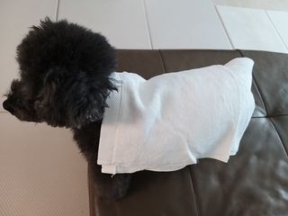 고옴이님이 올린 리뷰 사진 3