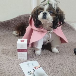 펫21 그로그로 5종 강아지 고양이 반려동물 한방 영양제 — 3.5점을 준 리뷰어가 2021년 12월 올린 사용 사진