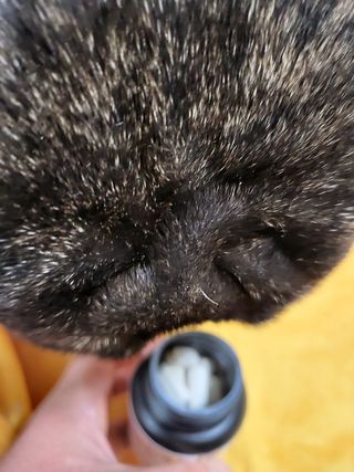 탱탱볼님이 올린 리뷰 사진 2