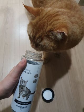 야미미님이 올린 리뷰 사진 4