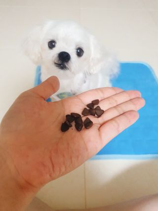 미진냥님이 올린 리뷰 사진 3