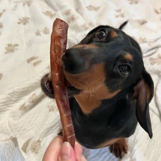 기뭉디님이 올린 리뷰 사진 4