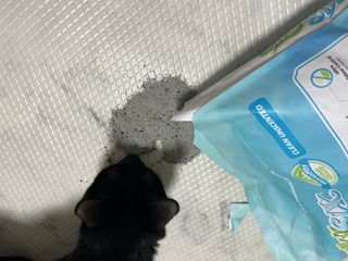 핑크천사님이 올린 리뷰 사진 3