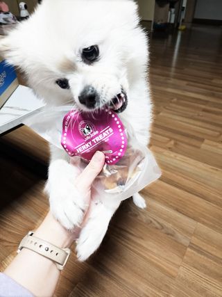 버킷송님이 올린 리뷰 사진 3