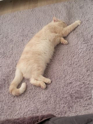 마디님이 올린 리뷰 사진 1