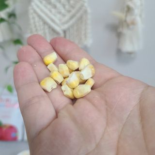soo1127님이 올린 리뷰 사진 3