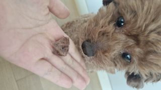 오은비님이 올린 리뷰 사진 1