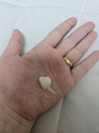 [후르디아] 올리브영 저자극 비건바디로션 — 5점을 준 리뷰어가 2023년 9월 올린 사용 사진