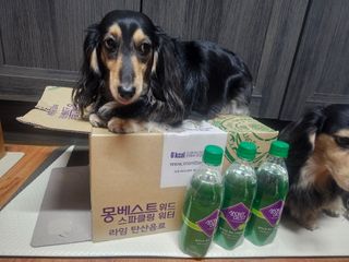 5_daks님이 올린 리뷰 사진 3