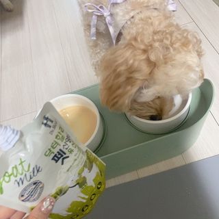 백설님이 올린 리뷰 사진 2