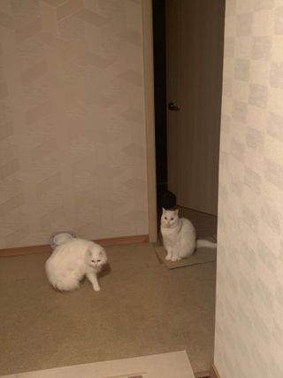 례진님이 올린 리뷰 사진 3
