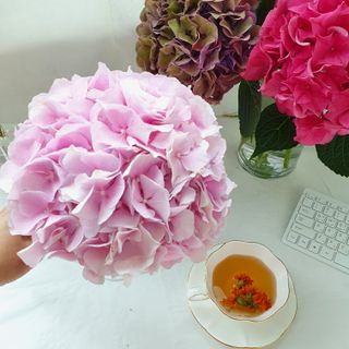 kyjnina님이 올린 리뷰 사진 2