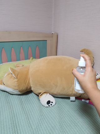 르플랑 한소쿠리초록영귤, 섭지에 유채피우다, 비자림의 아침이슬, 동백길 걷다, 협재의 아침바람 200ml 5종 중 택1 — 5점을 준 리뷰어가 2021년 8월 올린 사용 사진