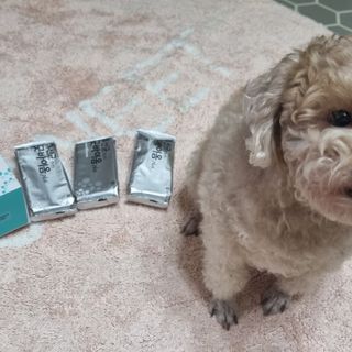 프리마인 유산균 국가지정연구소 선정, 살아있는 생유산균 200억 마리의 힘. 유산균n굿바이옴플러스 — 5점을 준 리뷰어가 2021년 10월 올린 사용 사진