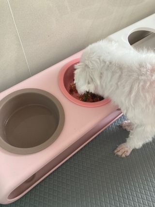 인절미인❣️님이 올린 리뷰 사진 4
