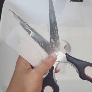 덤보님이 올린 리뷰 사진 1