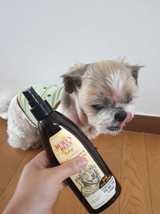 민우다빈이맘님이 올린 리뷰 사진 3