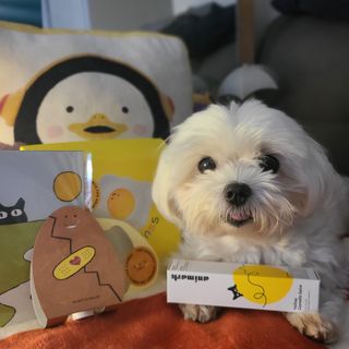 힙스터펭님이 올린 리뷰 사진 2