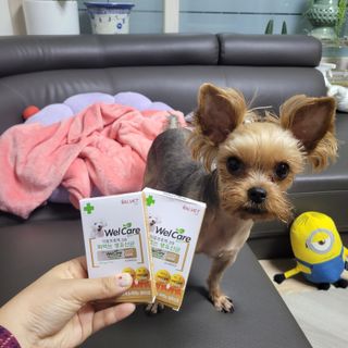 인영님이 올린 리뷰 사진 1