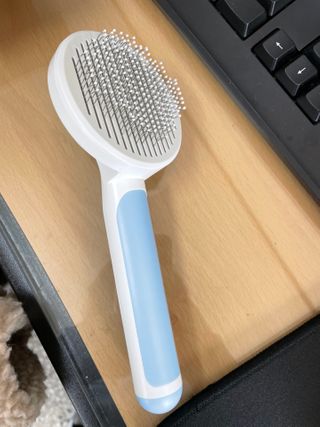 쪼로리님이 올린 리뷰 사진 2