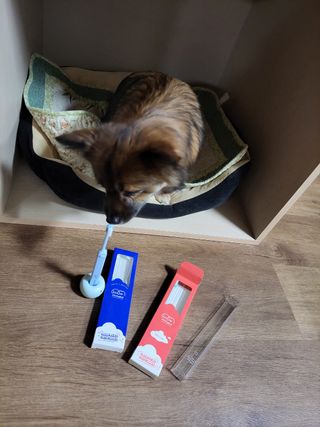오둥이맘님이 올린 리뷰 사진 4