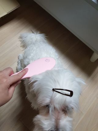 곽현정님이 올린 리뷰 사진 1