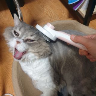 소이양님이 올린 리뷰 사진 1