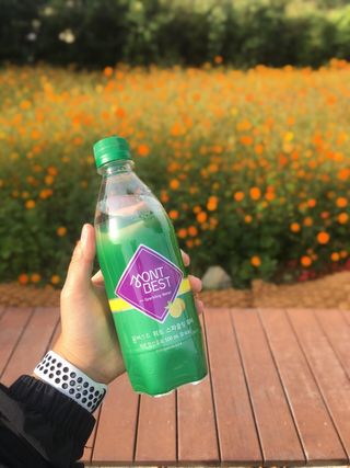 몽베스트 Montbest with Sparkling water Lemon OR Lime 20병(랜덤) — 5점을 준 리뷰어가 2021년 10월 올린 사용 사진
