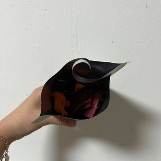 딜라이트 프로젝트 원물칩 2종 6ea(비트 믹스칩, 단호박 믹스칩) — 5점을 준 리뷰어가 2022년 4월 올린 사용 사진