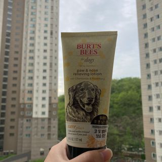 기쁨최님이 올린 리뷰 사진 1