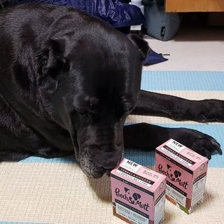 기린짱맘님이 올린 리뷰 사진 1
