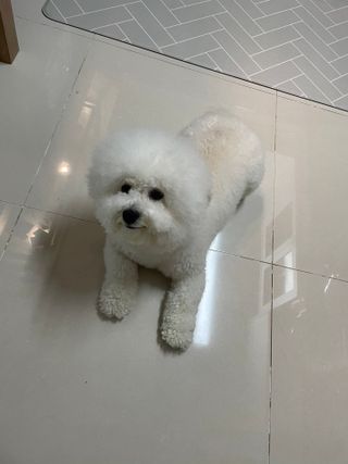지예지예❤️님이 올린 리뷰 사진 2