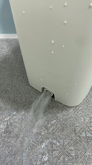 바노피파이님이 올린 리뷰 사진 4