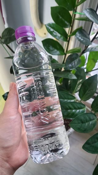 몽베스트 [MONTBEST]위드어스 500mL 20병 — 5점을 준 리뷰어가 2022년 8월 올린 사용 사진
